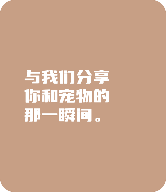 米兰milan宠物，无处不在